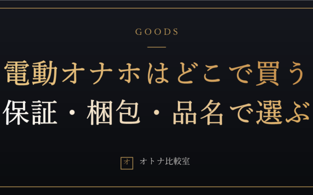 電動オナホはどこで買うのが正解か。保証・梱包・品名指定で4ルートを比べた